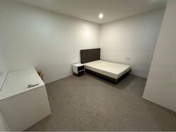 Hamilton Road (D8), Apartment #479893541